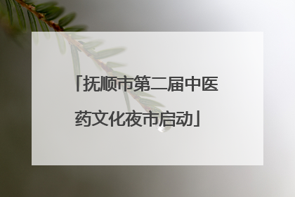 抚顺市第二届中医药文化夜市启动