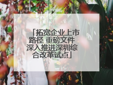 拓宽企业上市路径 重磅文件深入推进深圳综合改革试点