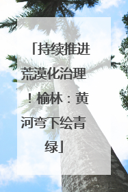 持续推进荒漠化治理！榆林：黄河弯下绘青绿