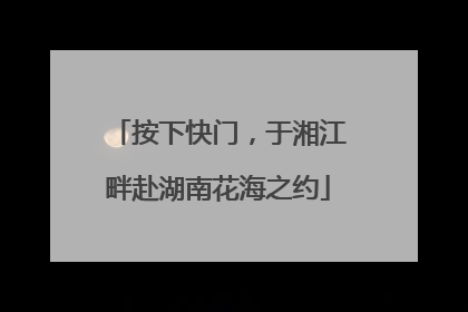按下快门，于湘江畔赴湖南花海之约