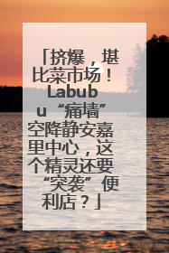 挤爆，堪比菜市场！Labubu“痛墙”空降静安嘉里中心，这个精灵还要“突袭”便利店？