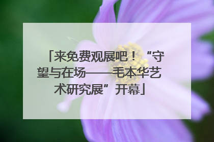 来免费观展吧！“守望与在场——毛本华艺术研究展”开幕