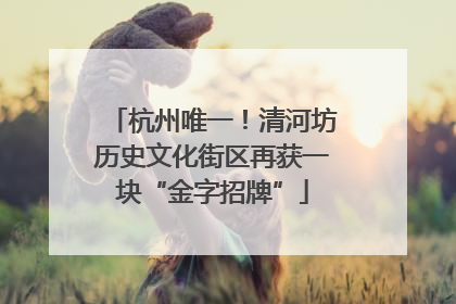 杭州唯一！清河坊历史文化街区再获一块“金字招牌”
