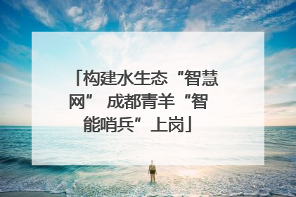 构建水生态“智慧网” 成都青羊“智能哨兵”上岗