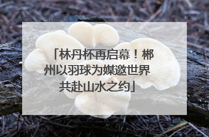 林丹杯再启幕！郴州以羽球为媒邀世界共赴山水之约