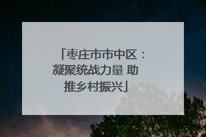 枣庄市市中区：凝聚统战力量 助推乡村振兴