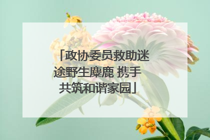 政协委员救助迷途野生麋鹿 携手共筑和谐家园