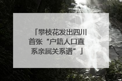 攀枝花发出四川首张“户籍人口直系亲属关系谱”
