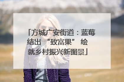 方城广安街道：蓝莓结出 “致富果” 绘就乡村振兴新图景