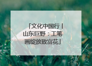文化中国行丨山东巨野：工笔画绽放致富花