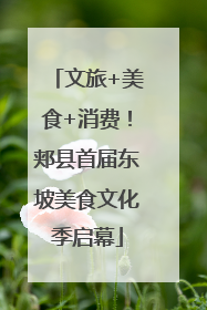 文旅+美食+消费！郏县首届东坡美食文化季启幕