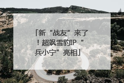 新“战友”来了！超飒雪豹IP“兵小宁”亮相