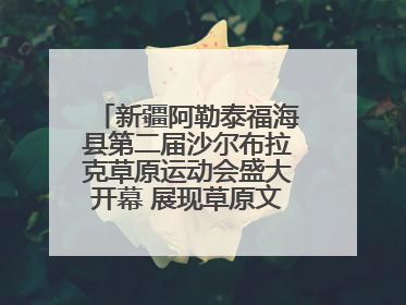新疆阿勒泰福海县第二届沙尔布拉克草原运动会盛大开幕 展现草原文化魅力