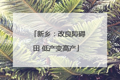 新乡：改良障碍田 低产变高产
