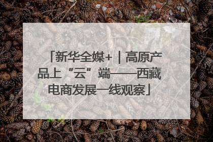 新华全媒+｜高原产品上“云”端——西藏电商发展一线观察