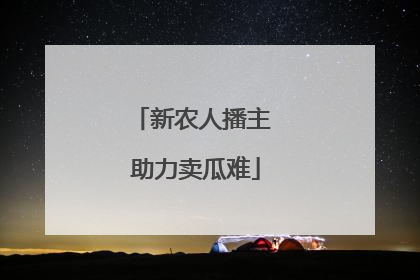 新农人播主 助力卖瓜难