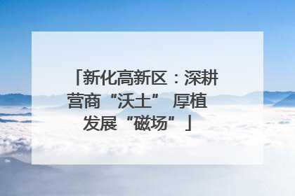 新化高新区：深耕营商“沃土” 厚植发展“磁场”