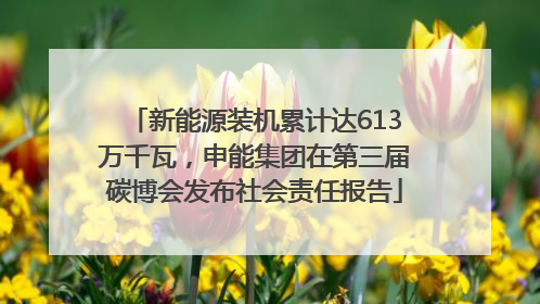 新能源装机累计达613万千瓦，申能集团在第三届碳博会发布社会责任报告