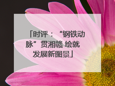 时评：“钢铁动脉”贯湘赣 绘就发展新图景