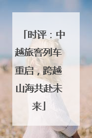 时评：中越旅客列车重启，跨越山海共赴未来