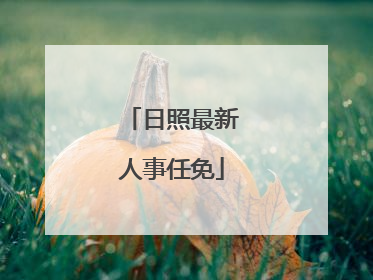 日照最新人事任免