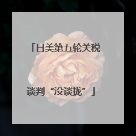 日美第五轮关税谈判“没谈拢”