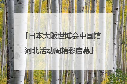 日本大阪世博会中国馆河北活动周精彩启幕