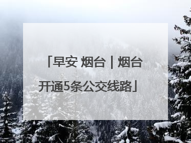 早安 烟台｜烟台开通5条公交线路