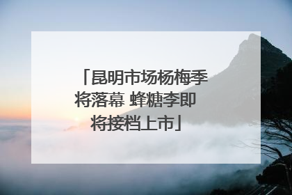昆明市场杨梅季将落幕 蜂糖李即将接档上市