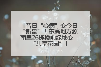 昔日“心病”变今日“新景”！东高地万源南里26栋楼前绿地变“共享花园”
