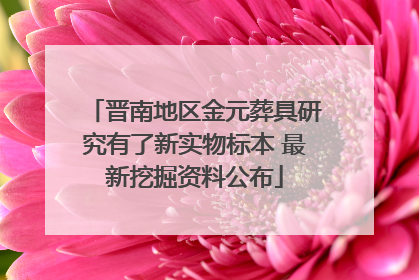 晋南地区金元葬具研究有了新实物标本 最新挖掘资料公布