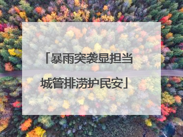 暴雨突袭显担当 城管排涝护民安