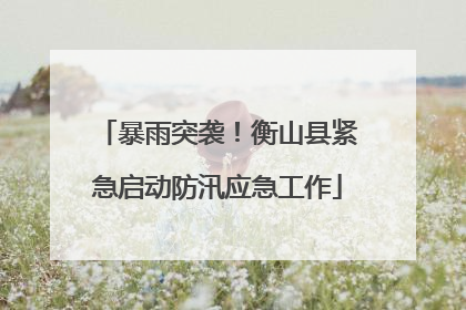 暴雨突袭！衡山县紧急启动防汛应急工作