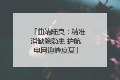 曲靖陆良：精准消缺除隐患 护航电网迎峰度夏