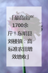 最高亩产1700余斤！东明县刘楼镇：高标准农田增效增收