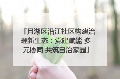 月湖区沿江社区构建治理新生态：党建赋能 多元协同 共筑自治家园
