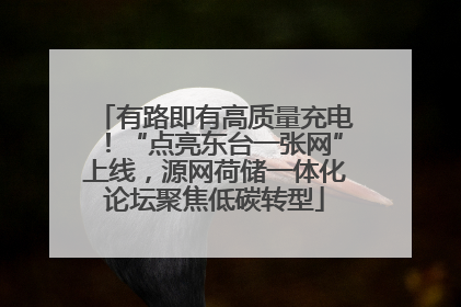 有路即有高质量充电！“点亮东台一张网”上线，源网荷储一体化论坛聚焦低碳转型