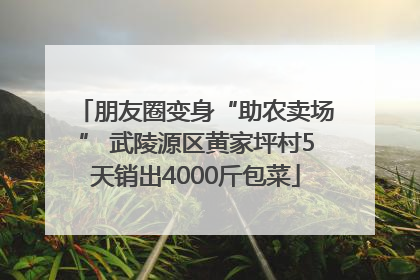 朋友圈变身“助农卖场” 武陵源区黄家坪村5天销出4000斤包菜