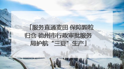 服务直通麦田 保障颗粒归仓 德州市行政审批服务局护航“三夏”生产