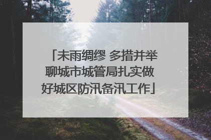 未雨绸缪 多措并举 聊城市城管局扎实做好城区防汛备汛工作
