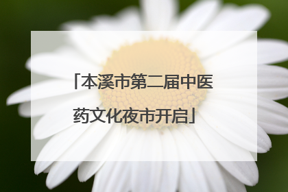 本溪市第二届中医药文化夜市开启