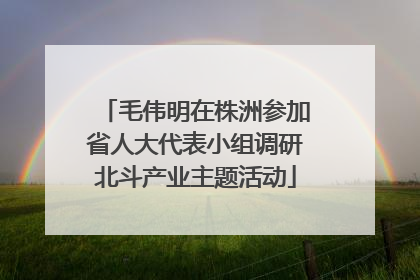 毛伟明在株洲参加省人大代表小组调研北斗产业主题活动