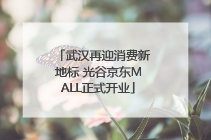 武汉再迎消费新地标 光谷京东MALL正式开业