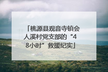 桃源县观音寺镇会人溪村党支部的“48小时”救援纪实
