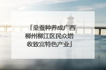 桑蚕种养成广西柳州柳江区民众增收致富特色产业