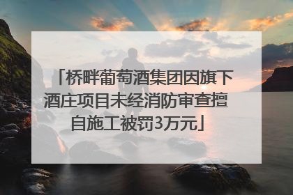 桥畔葡萄酒集团因旗下酒庄项目未经消防审查擅自施工被罚3万元