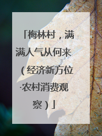 梅林村，满满人气从何来（经济新方位·农村消费观察）