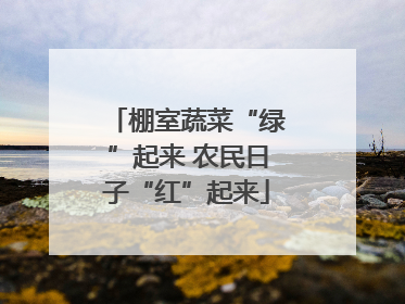 棚室蔬菜“绿”起来 农民日子“红”起来
