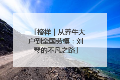 榜样｜从养牛大户到全国劳模：刘琴的不凡之路
