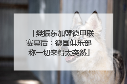 樊振东加盟德甲联赛幕后：德国俱乐部称一切来得太突然